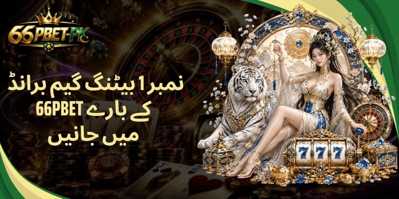 نمبر 1 بیٹنگ گیم برانڈ 66PBET کے بارے میں جانیں