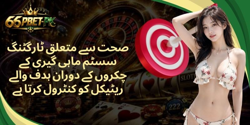 صحت سے متعلق ٹارگٹنگ سسٹم ماہی گیری کے چکروں کے دوران ہدف والے ریٹیکل کو کنٹرول کرتا ہے